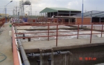 Hình 5